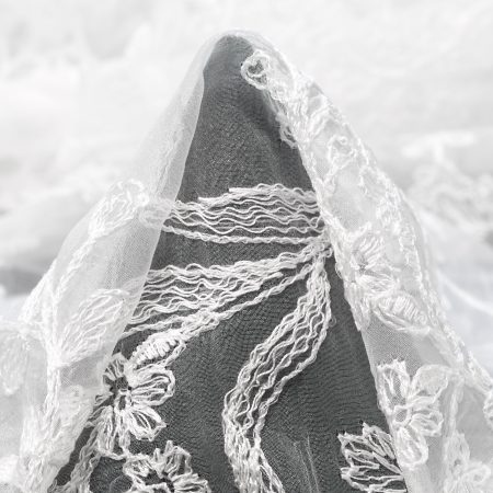 Organza, Embroidered, Floral, Snow White