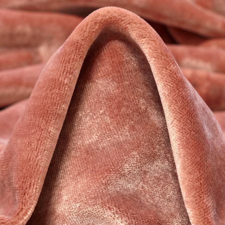 Velvet, Viscose, Lobster