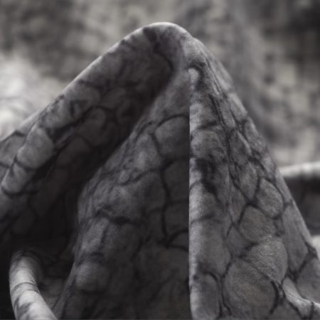 Jersey, Printed, Caviar