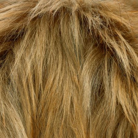 Fake Fur, Feather Gray