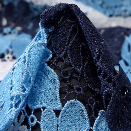 Lace, Brilliant White&Parisian Blue