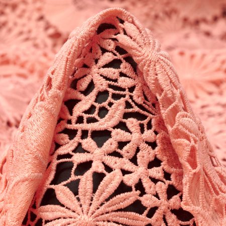 Lace, Floral, Coral Cloud